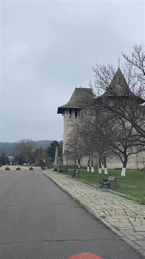 22K views · 814 reactions | Elena Ganea Celac on Reels | Facebook