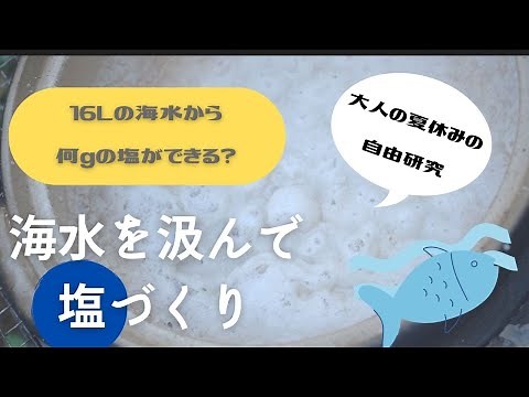 【自由研究】海水汲んで自家製塩づくり！16Lから作れる塩の量は？使う鍋は何がいい？【高知旅行】