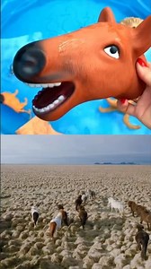 Horse Fun Facts for Kids Toddlers - Learning video!