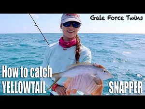 LEARN TO YELLOWTAIL IN UNDER 3 MINUTES! How to catch snapper at patch reefs | Gale Force Twins