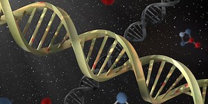 A New Kind of Regulatory Element in the Genome | Genetics And Genomics