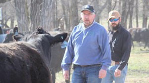Beef - It's What's For Dinner - North Dakota