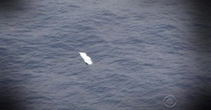 Sinking debris from plane crash near Jamaica deepens mystery