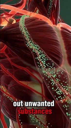 What Happens Inside Your Body After Drinking Spoiled Milk? #health #boosterjuice #vitamincdrink