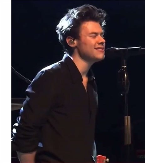 Harry Styles Emotional Moments Live on Tour