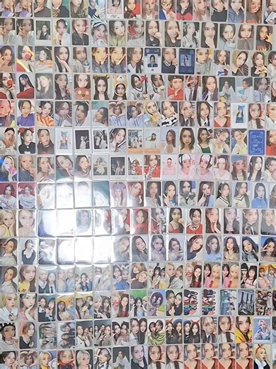 포토카드 챌린지: 저의 최애는 누구일까요~?🤫