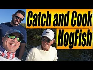 Catch and Cook Hogfish Recipe