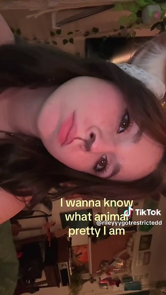 Spicy Sauce Trouble: A Halloween Animal Makeup Story