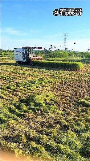 yanmar japani head feed combine harvester machine 🌾 #shorts #yanmar #harvester