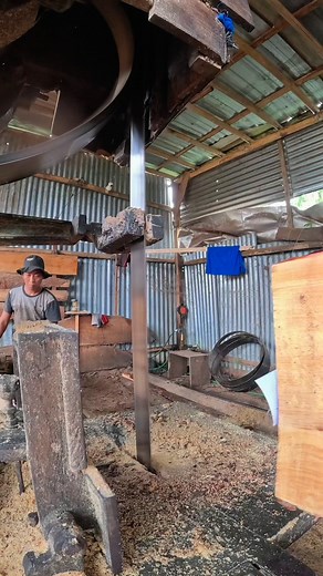 117K views · 539 reactions | amazing sawmill in action | Sawmill & Woodworking | Facebook