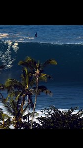 126K views · 3.9K reactions | @shanedorian could’ve walked away from heavy water and nobody would have ever questioned him. He created a renaissance of paddle surfing at Peahi, invented the inflate vest, and now north of 50, he’s still bagging waves on the North Shore that make the hardest of chargers reconsider. Surfings better because of it.  @kai_swaggers | Surfline | Facebook