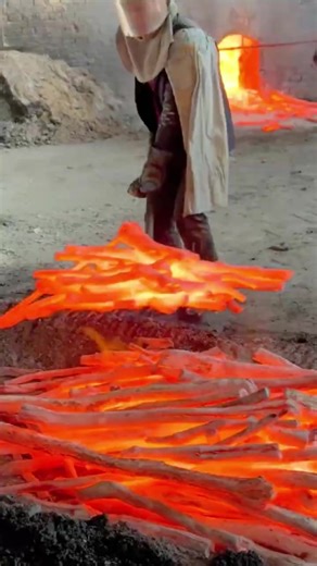 #viralvideo #viraltiktok #foryou | biggest tree in the world