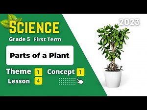 Grade 5 | Science | Unit 1 - Concept 1 - Lesson 4 - Parts of a Plant