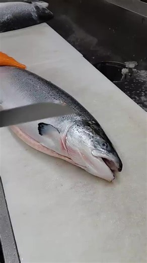 Organic Salmon Fillet Preparation Techniques