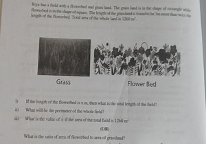 Riya has a field with a flowerbed and grass land. The grass lan... | Filo
