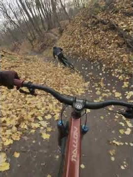 Crash on the “Mouse Trap” Trail