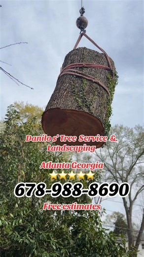 At Danilo's We get any job done no matter the size! Call today to schedule a free estimate #treewo #Georgia #viralvideo | Danilo's Tree Service and Landscaping