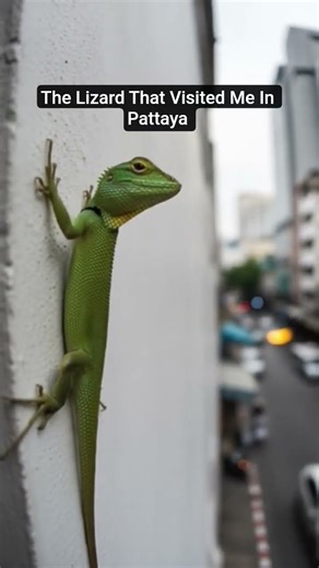 Thailand Must See Photos #thailand #travel #bangkok #pattaya