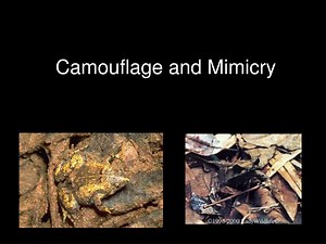Camouflage and Mimicry - SlideServe