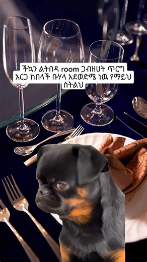 Local meme 🎱 (@locall.meme)’s videos with original sound - Local meme 🎱