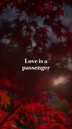 Chet Faker - Can You Swim? #newsong #lyrics #indie #alternative #music #shorts