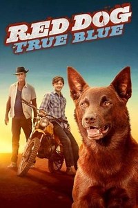 Red Dog: True Blue - Movie