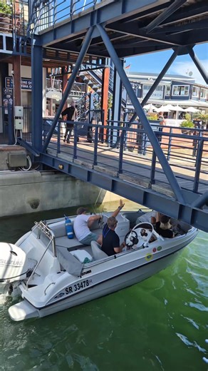 Shout out to our newest followers! Excited to have you onboard! Pavel Sivozhelezov, Sandra Mehlomakhulu, Lindelwa Balakisi, Ralston Oliphant, Talita Hattingh, Knaked Vani Knysna, Anethemba Ndayi, Kweyllar Kwanelle, Sergio Mazina, Michael Loots, Charne Saayman, Aiizøw Mbombø, Ashley Young, Ikwanam Nteketwane, Mavester Sive, Luvuyo Binita, Daskalos Akademie Hulp Sentrum | Knysna Waterfront