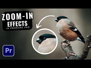 How to Zoom In Premiere Pro (2025 Easy Tutorial!)