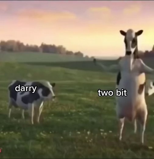 #theoutsiders #theoutsiderspov #johnnycadedeservedbetter