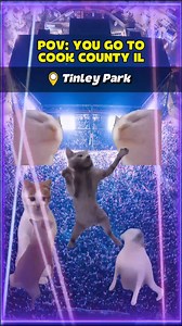57K views · 732 reactions | Pov: You go to Cook County Illinois . . . #illinois #travel #funny #usa #cookcounty | Kitty Memes | Facebook