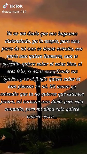 Imágenes de desamor: Stella Aeternum