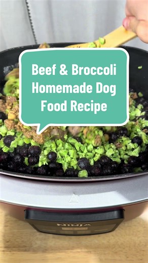 Comment RECIPE and I’ll gladly share the full recipe in your DMs 🐄🥦🫐 Wondering why supplements are necessary in this recipe? I formulated this recipe to use easy grab and go ingredients like pre-portioned veggies and canned ingredients. So to balance it properly, supplements are required. If you want the modified recipe that is balanced using only whole food ingredients, comment WHOLE FOODS and I’ll be thrilled to share it with you 😎✨ *recipes are formulated using AAFCO nutrient profiles to 