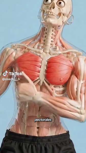 ¿Quieres unos pectorales más grandes pero no tienes dinero para el gimnasio? 💪🏠 No te preocupes, porque eso no es una excusa. En este video te enseño 4 ejercicios caseros para pecho que puedes hacer usando únicamente tu peso corporal y algunos objetos que ya tienes en casa. 🔥 Flexiones 🔥 Fondos entre cajas o sillas 🔥 Flexiones inclinadas 🔥 Flexiones declinadas Haz 4 series al fallo en cada ejercicio y recuerda mantener una técnica correcta para obtener mejores resultados y evitar lesiones.