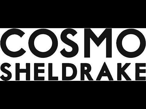 Cosmo Sheldrake - Prefusify