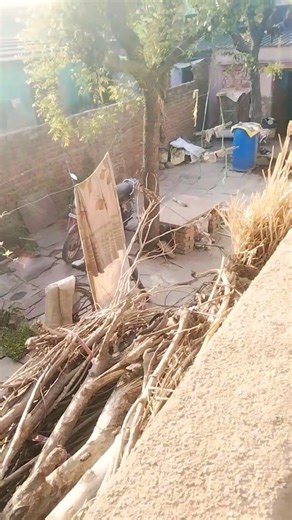 #sari umra beet jaaye