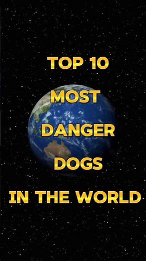 🐶 Top 10 Most Dangerous Dogs in the World 😱 | World's Most Powerful Dog Breeds