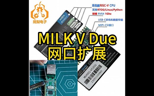 【RJ45网口配置与登录教程】Milk-V Duo带tpu 1G双核linux开发板RISC-V,还玩啥树莓派pico