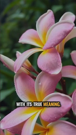 Hawaiian Baby Names & Meanings 🌺 Free Tool #Hawaii