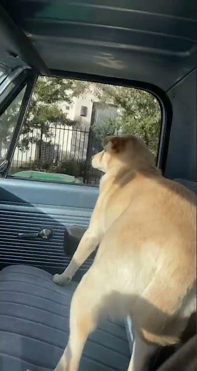 C10 First drive after new tires and brake booster install