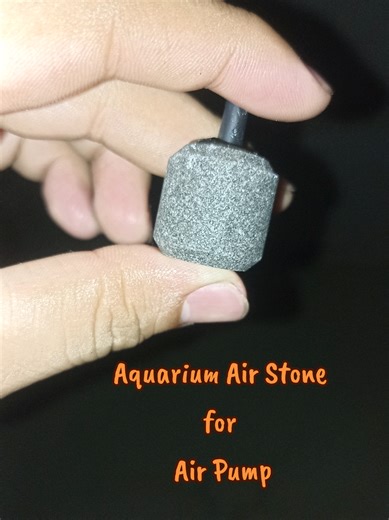 Aquarium Air Stone for Air Pump: Benefits and Uses