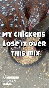 2.1K views | Want stronger eggs and shinier feathers? Turn plain...