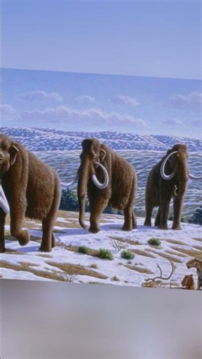 Scientists Are Bringing Back The Woolly Mammoth! 🧐