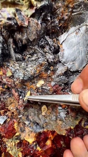 Gold plate in quartz stone💰💰 #goldcollector #gold #goldhunting #goldmining #goldminers #goldfinding