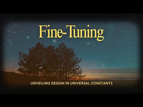 Fine-Tuning: Unveiling Design In Universal Constants