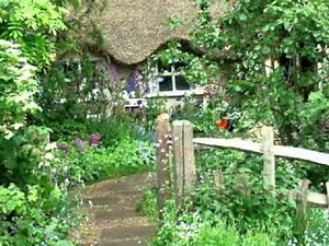 Rustic garden ideas