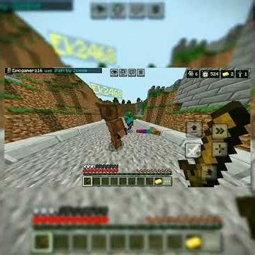 “First Time Minecraft Server Experience – Noob to Pro?”