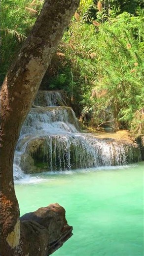Cascading Beauty in the Laos Jungle