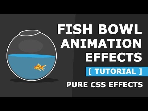 Pure CSS Fish Bowl Animation Effects - Latest Html and CSS Animation Effects Tutorial