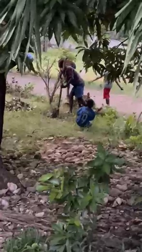 Lawn Care Day at Place of Hope in Haiti There’s a lot of land to care for — and even more love being poured into every blade of grass. Together, we’re keeping our home beautiful, one lawn at a time. | Place of Hope in Haiti | Facebook