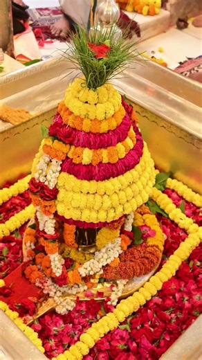 #shrikashivishwanath#harharmahadev#